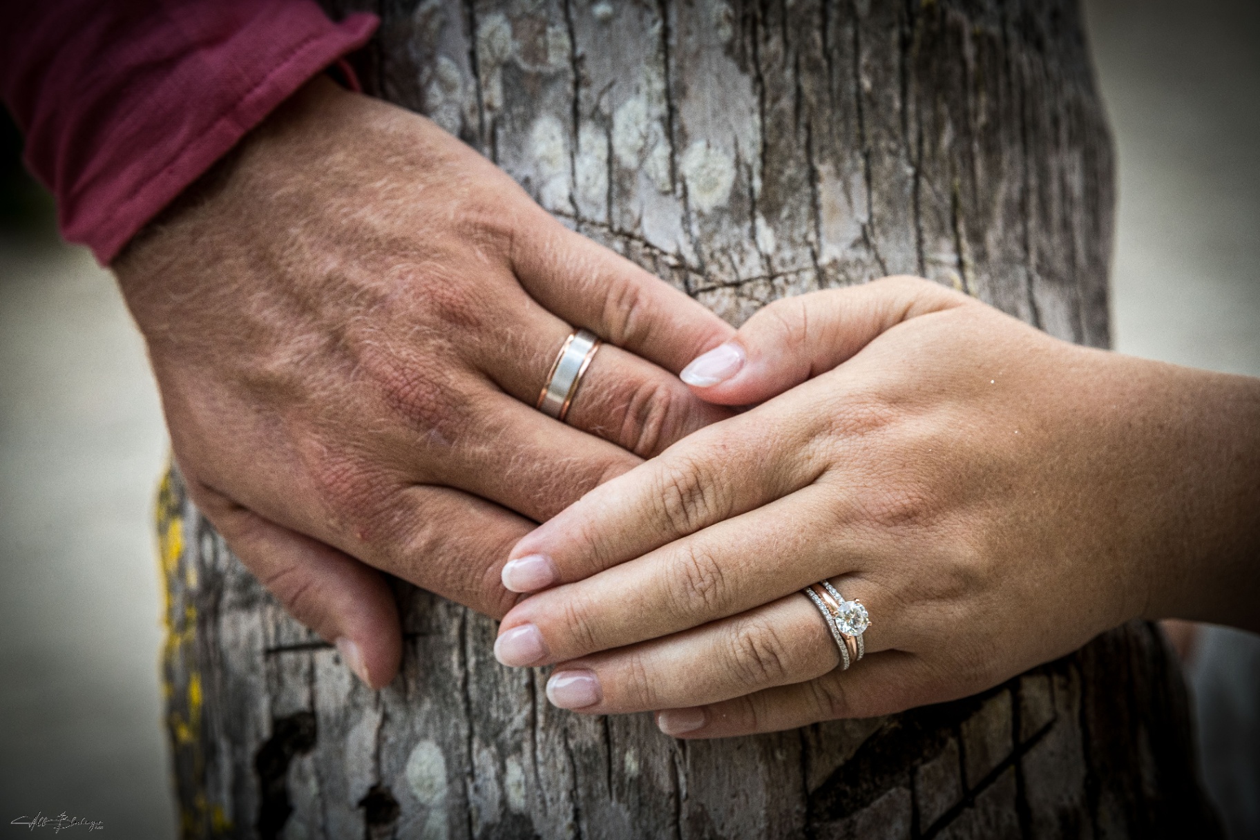 Close-up of the couple's wedding bands resting on a weathered palm trunk