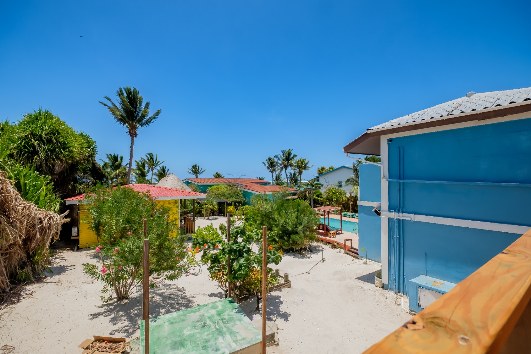 Dolphin House and gardens with pool and palms beyond