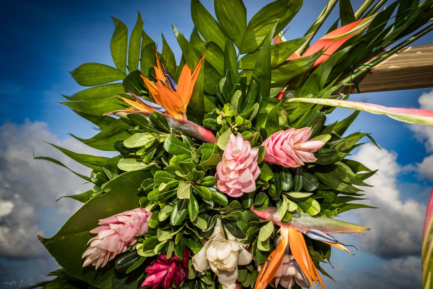 Tropical wedding florals with heliconia and bird of paradise