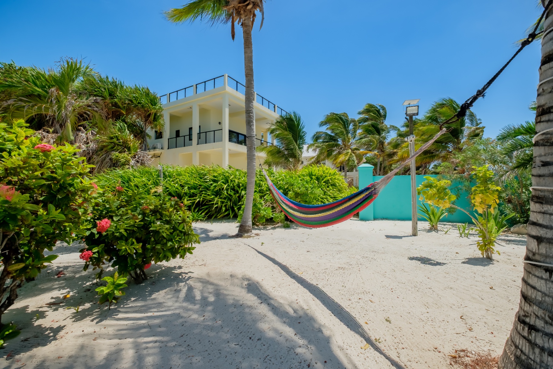 Beachfront hammock with view of the villa