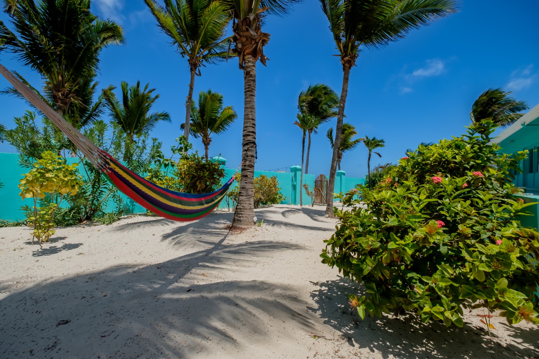Hammock strung between palms in the beachfront courtyard