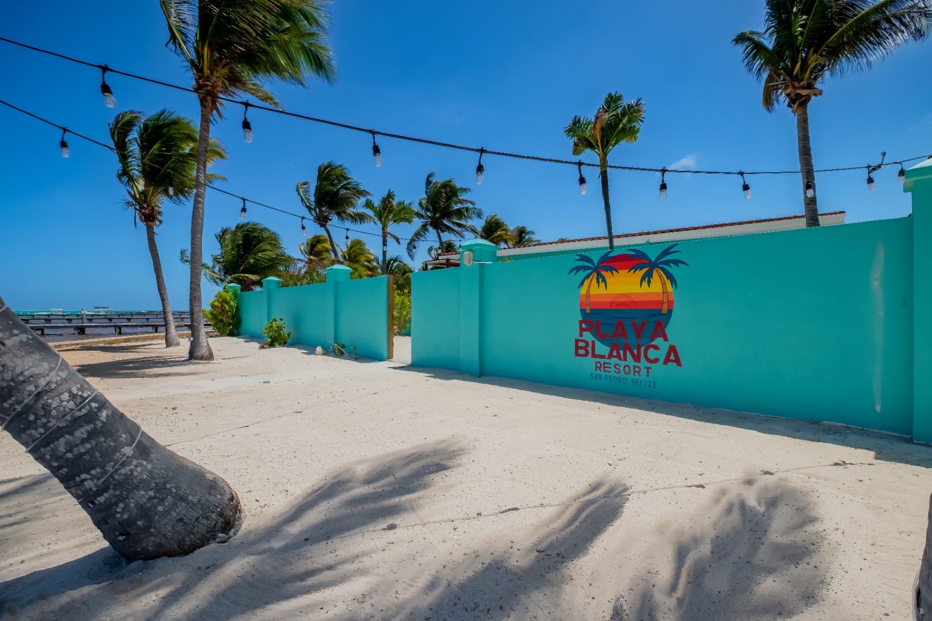 Playa Blanca resort wall and palms from the beach